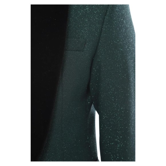 Derman Green Velvet Collar Silvery Tuxedo - Picture 5 of 6